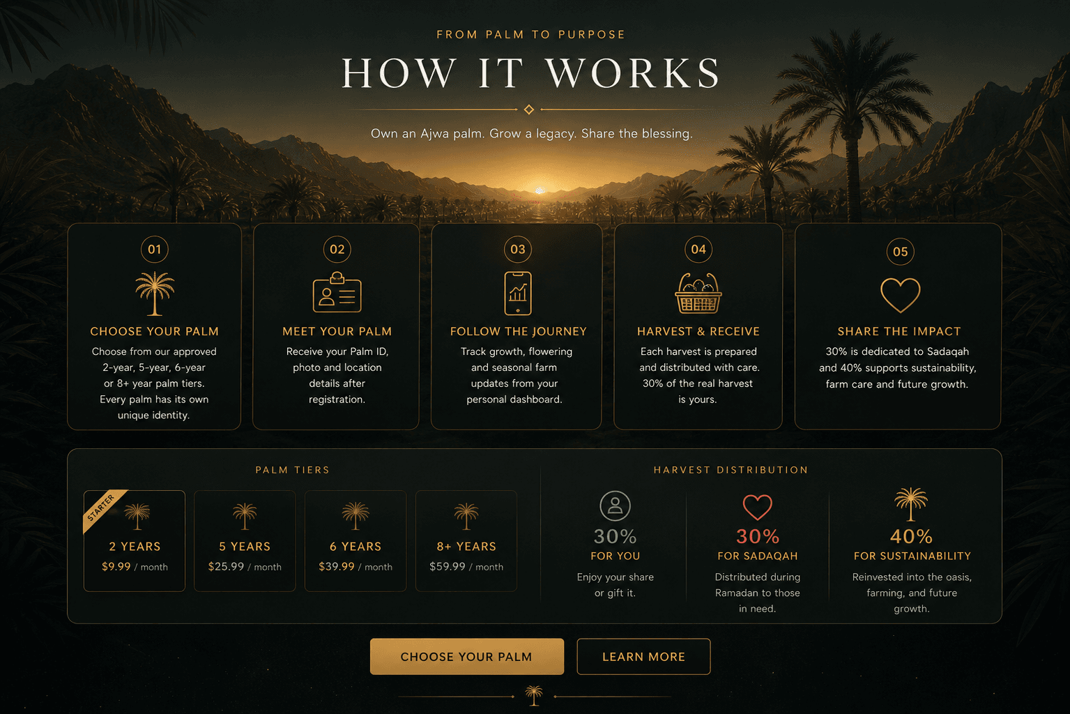 AJWA OASIS — How it works, palm tiers and harvest distribution