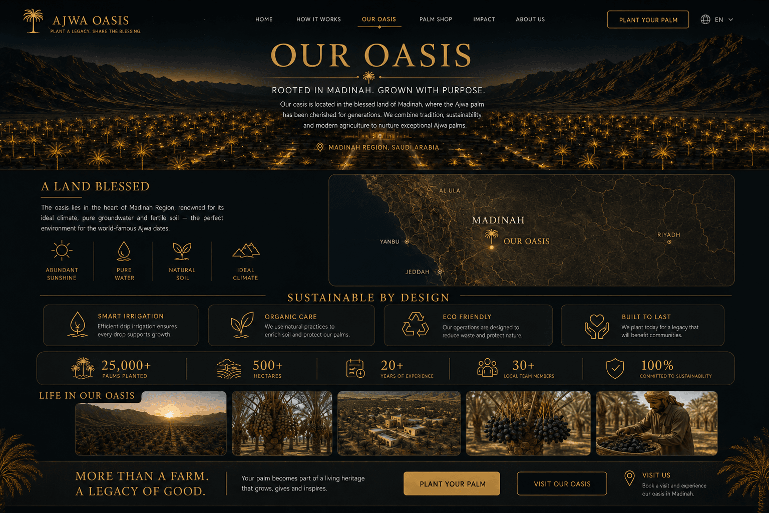 AJWA OASIS in Madinah — land, sustainability, farm life and legacy